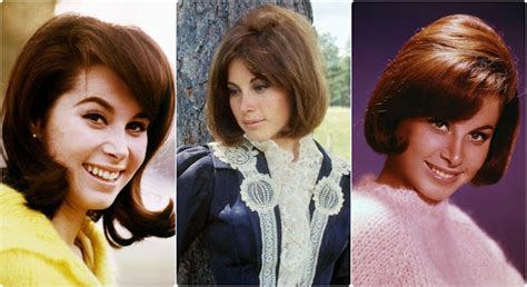 stephanie powers sexy|35 Beautiful Photos of Stefanie Powers in the 1960s.